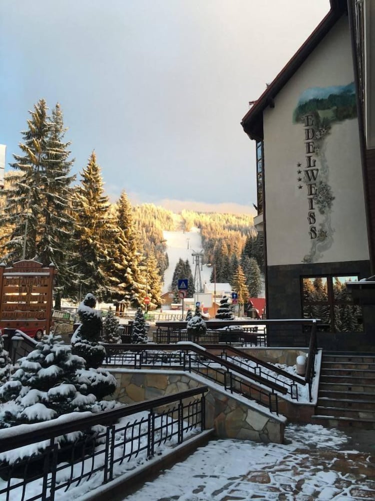 Hotel Edelweiss - last minute hotel in Brasov