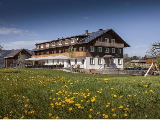 Hotel Gasthof Wälderhof — hotel in Lingenau