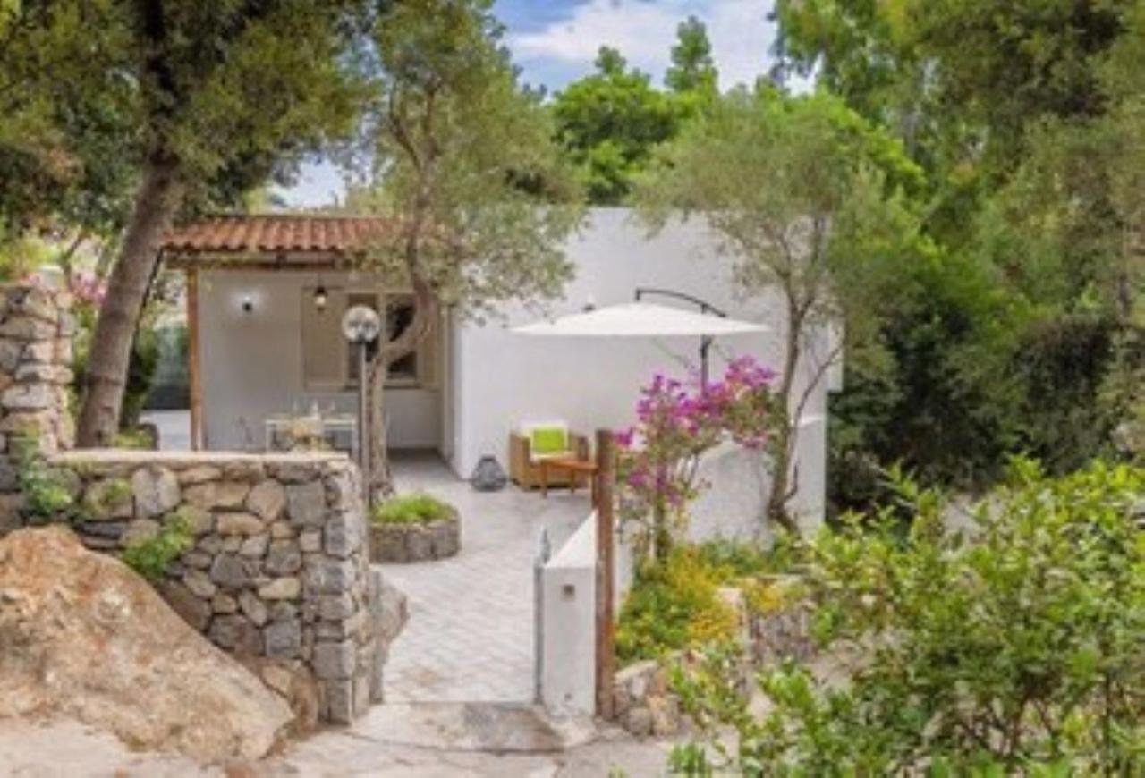 Ischia Forio Casa Villa la Grille du Coq 3 Il Prezzo Della Villa E Riferito All'intero Alloggio Con Il Limite Delle Persone Previste N 6 — 4-Star Luxury Hotel in Forio, Italy