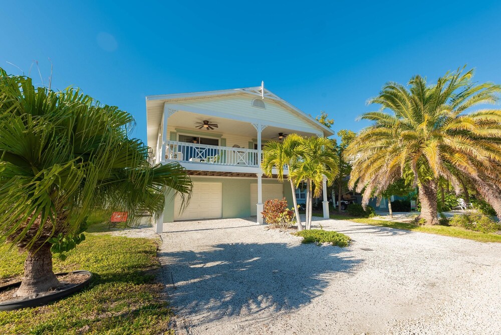 Las Palmas — Anna Maria — photo 2
