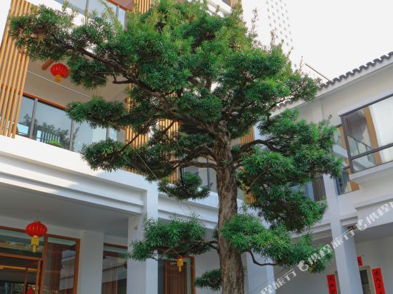 Wanlv Manor — hotel in Dongyuan