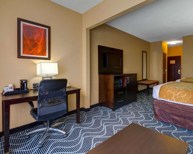 Comfort Suites Lake Ray Hubbard - photo 4