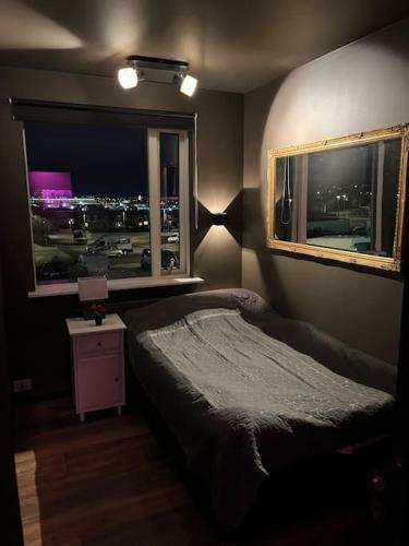 Luxurious apartment in Reykjavík