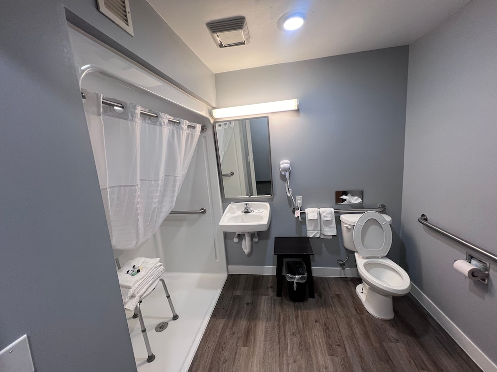 American Inn and Suites Ionia - photo 30