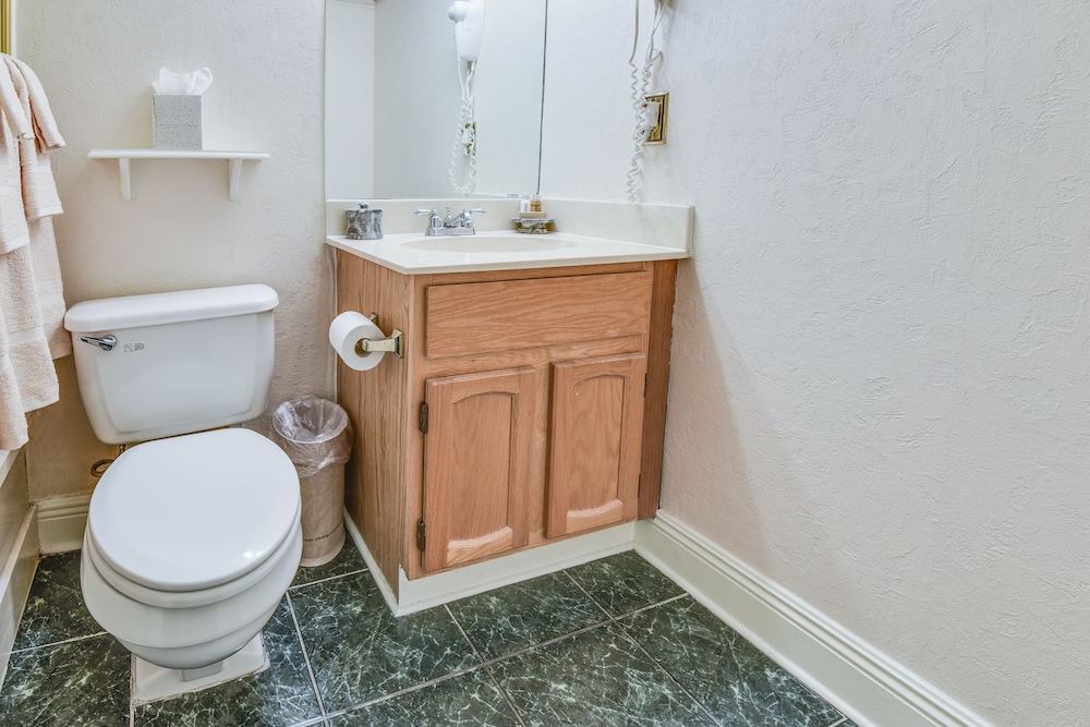 Plaza Suites Downtown New Orleans - photo 29