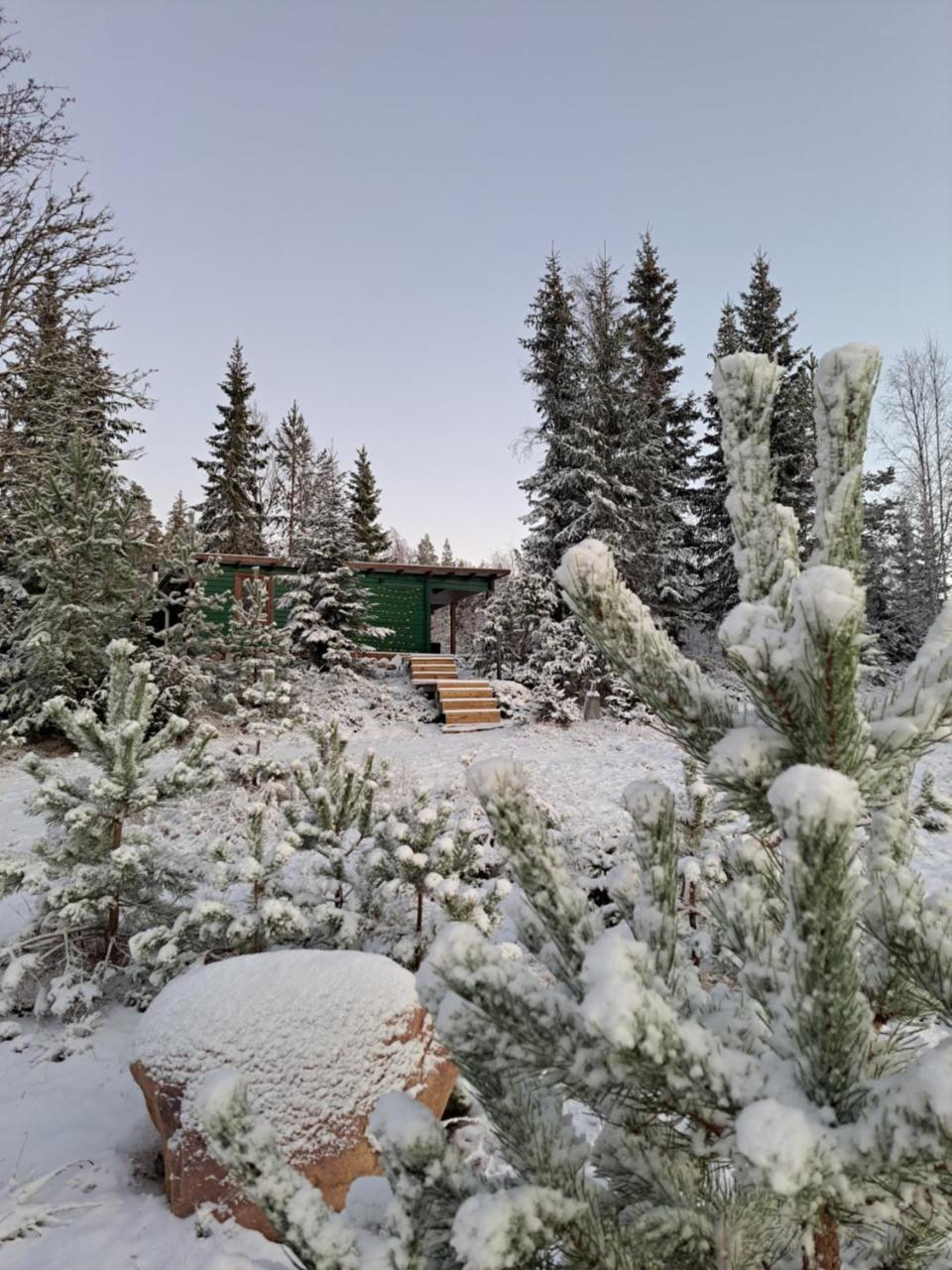 Stuga Skogsmagi — hotel in Vansbro
