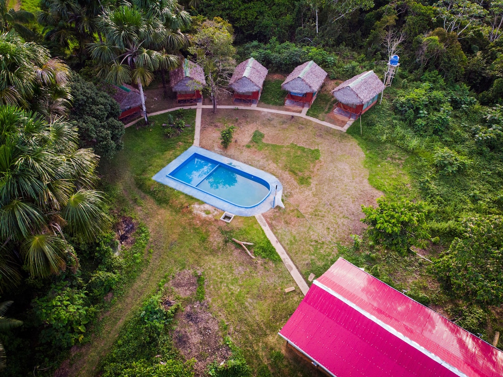 La Casa Del Ayahuasca Luz Del Amazonas 19691396 — Indiana