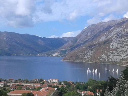 Tamaris apartments Risan — 4-Star Luxury Hotel in Risan, Montenegro