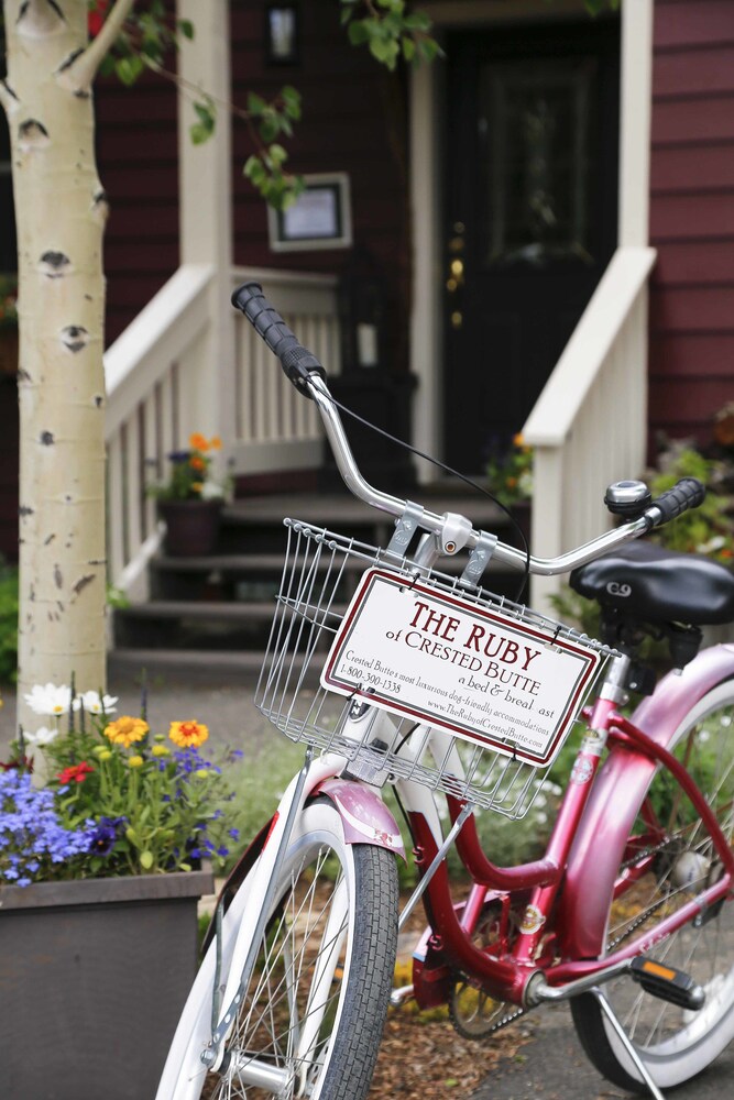The Ruby of Crested Butte - photo 32