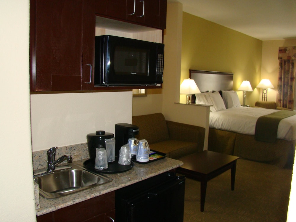 Holiday Inn Express Hotel & Suites Brownfield by IHG - photo 21