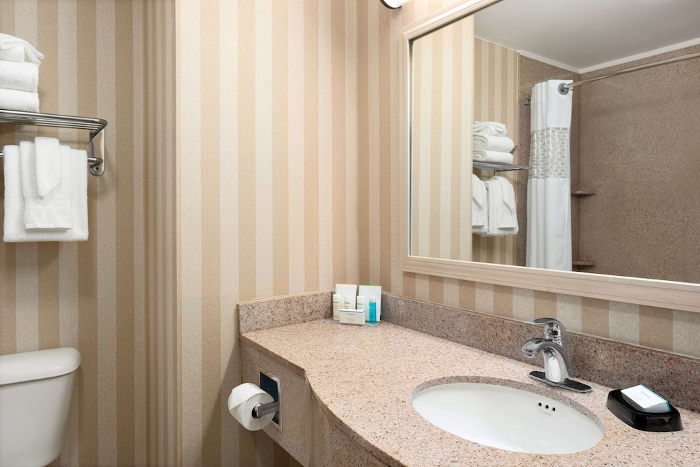 Hampton Inn & Suites Detroit Sterling Heights - photo 13