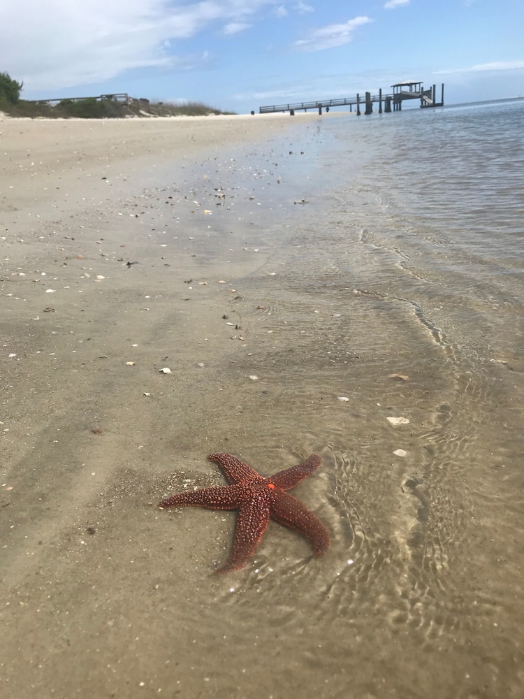 Hotel Tybee - photo 43