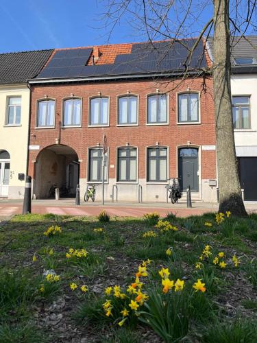 Sint Catharina — Lier