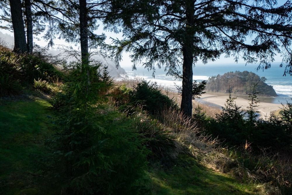 Wave Haven - photo 5