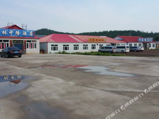 Linzhonglong Hotel - carbon neutral hotel in Unknown City