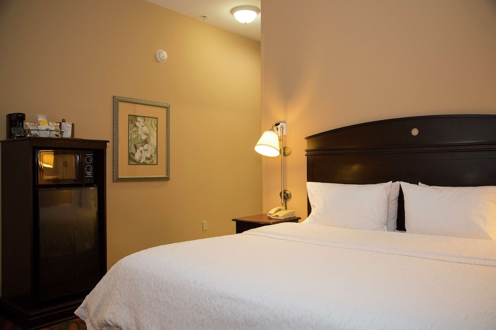 Hampton Inn & Suites Houston Rosenberg - photo 24