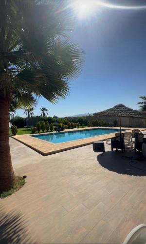 Villa Berkania Piscine Privee 8 Pers 19332185 — Berkane