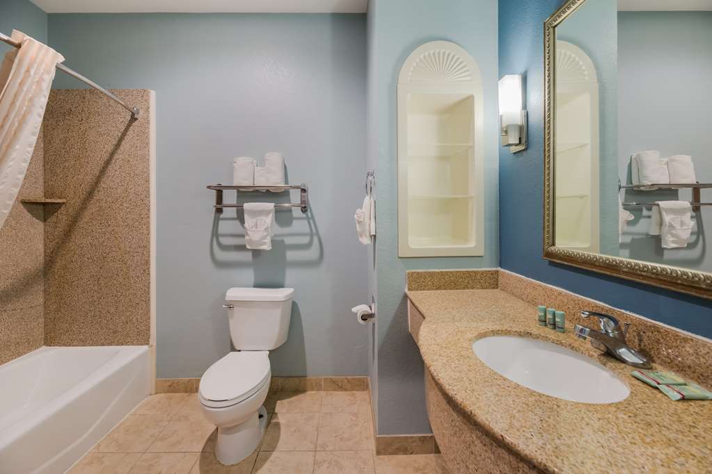 Best Western South Plains Inn & Suites - photo 23