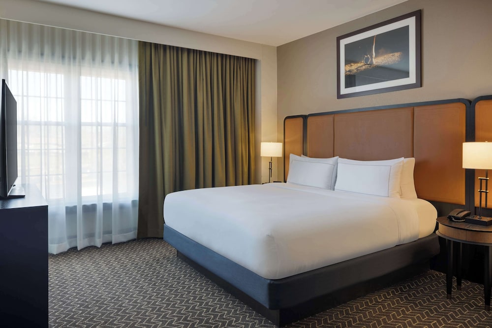 DoubleTree Suites by Hilton Hotel Lexington - photo 19
