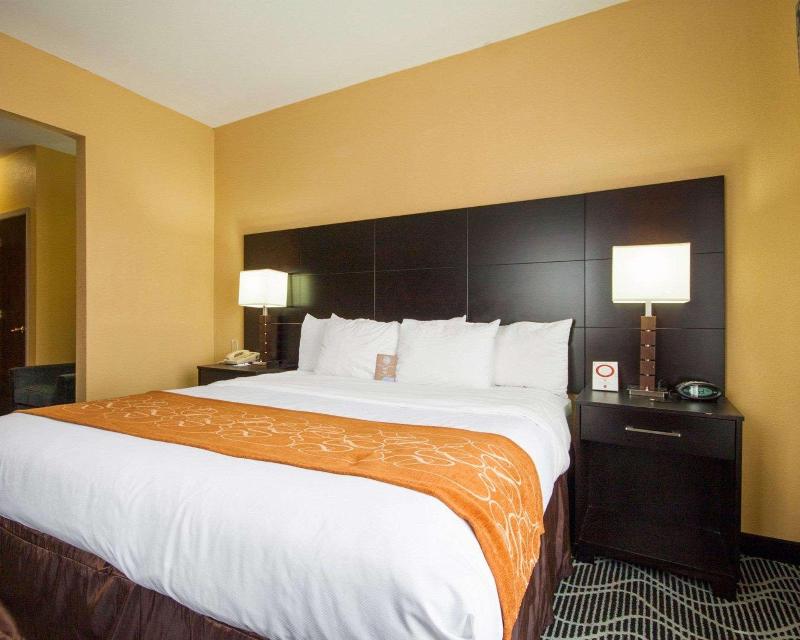 Comfort Suites Lake Ray Hubbard - photo 17