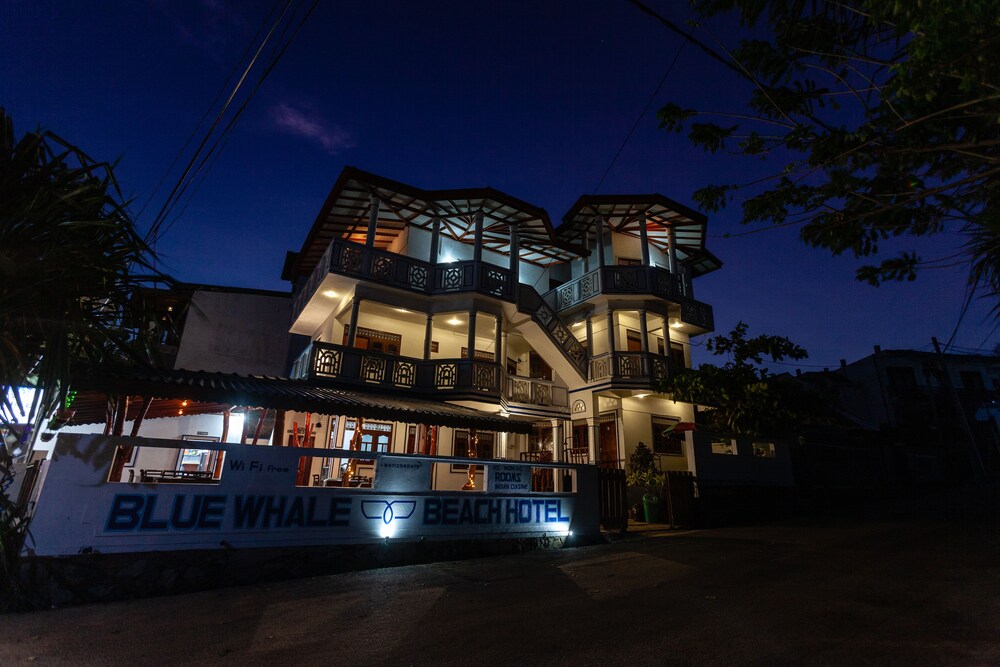 Blue Whale Beach Hotel in Tangalle, Sri Lanka