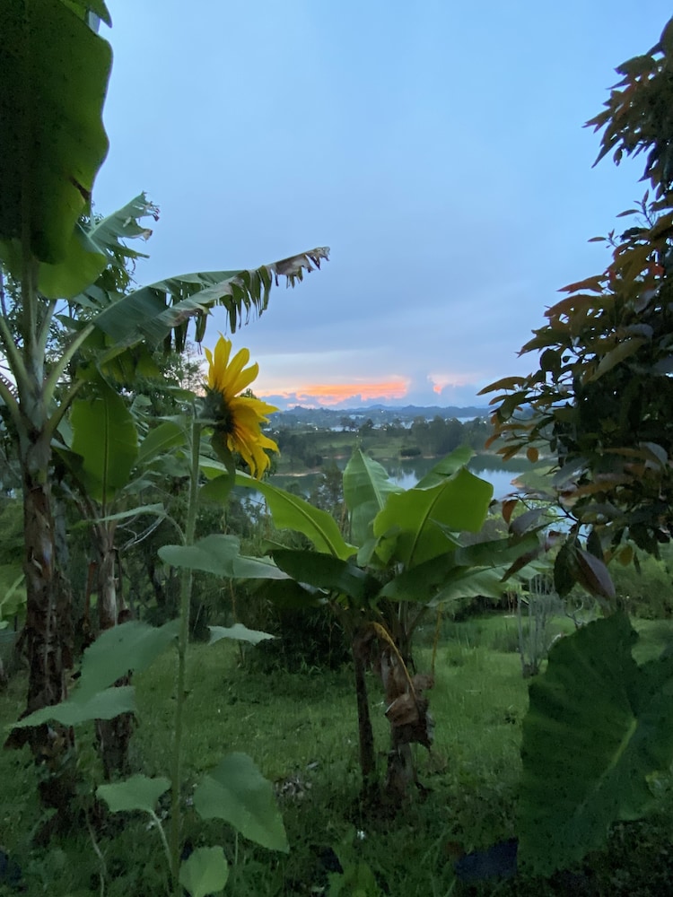 Rocksglamping in El Penol, Colombia