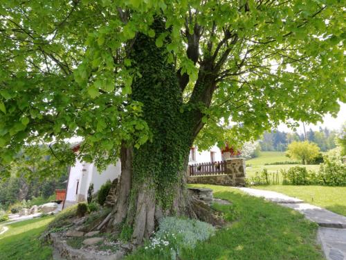 Chalet Lhotka — 4-Star Luxury Hotel in Kozlovice, Czech Republic