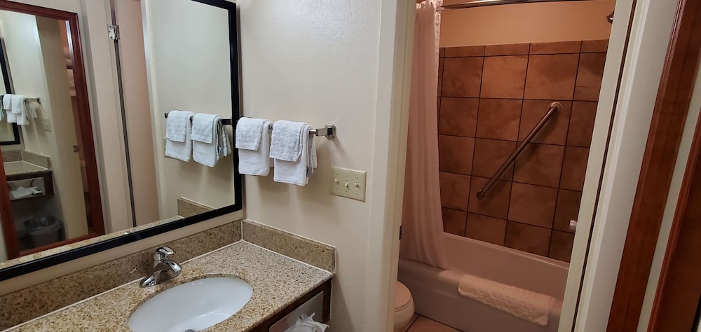 Best Western Plains Motel - photo 29
