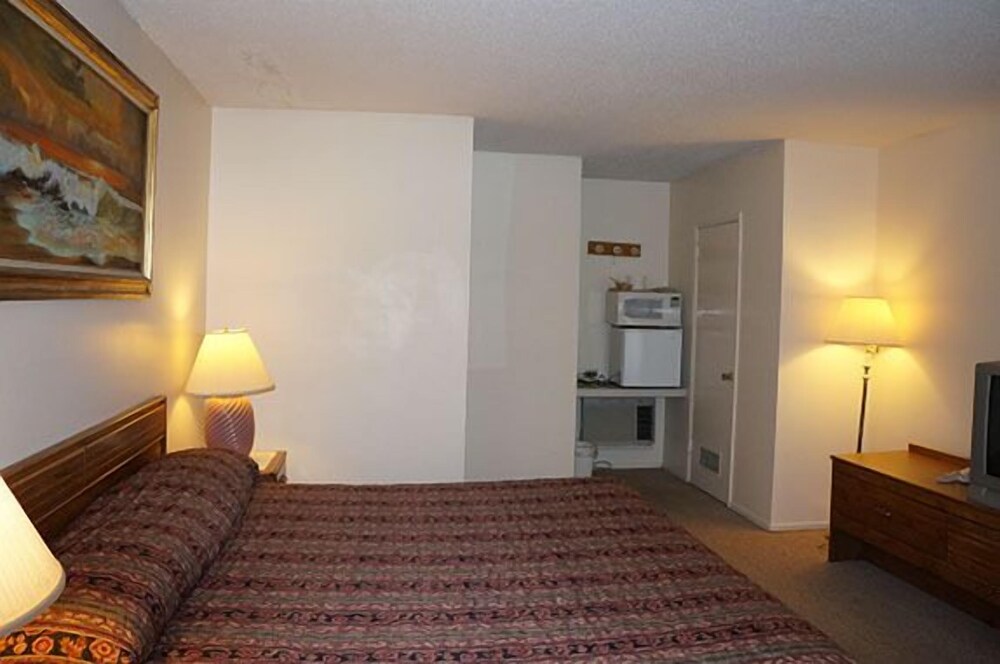 Blue Gum Motel - photo 20