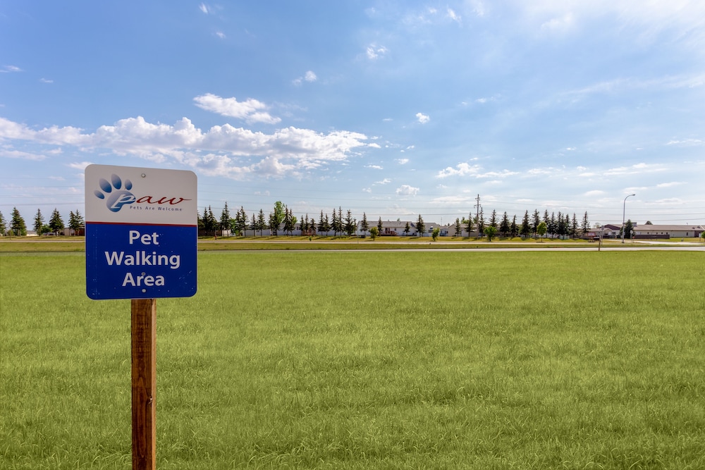 Candlewood Suites Minot by IHG - photo 36