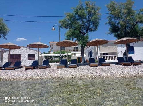 Blu — Pelasgia — photo 2