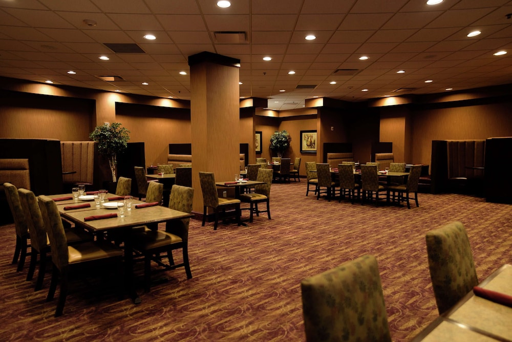Embassy Suites by Hilton Minneapolis North - photo 31