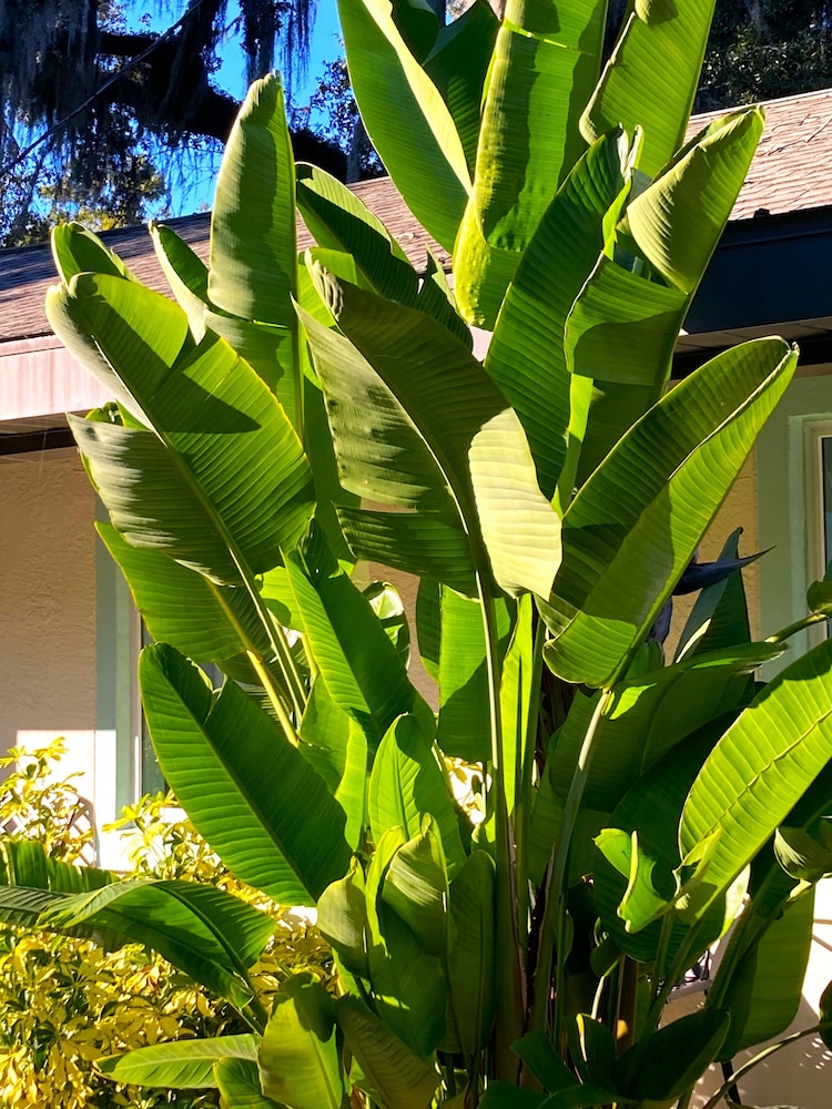 Retreat at Crystal Manatee - photo 20
