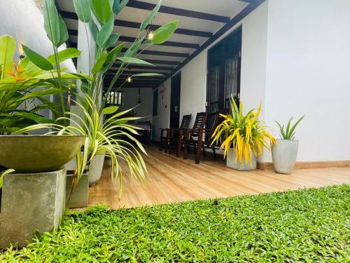 The Nook - carbon neutral hotel in Hikkaduwa