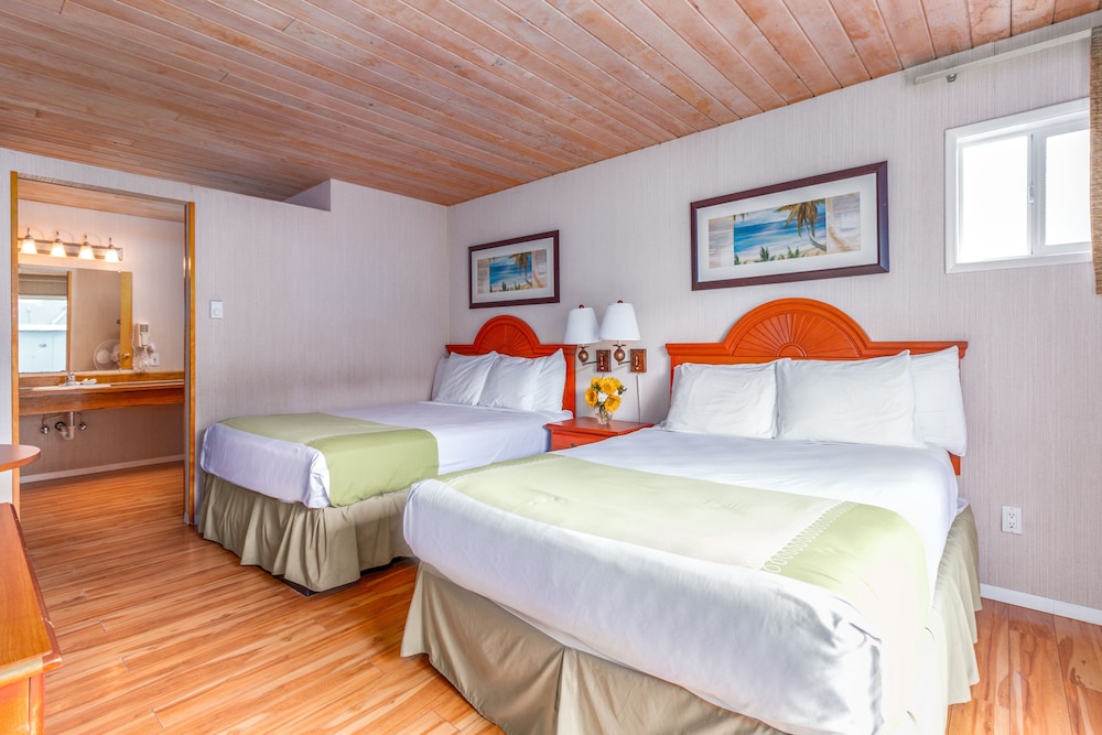 Seashore Inn on the Beach - photo 8