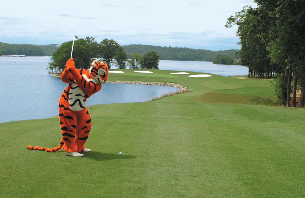 Clemson University's James F. Martin Inn - photo 13