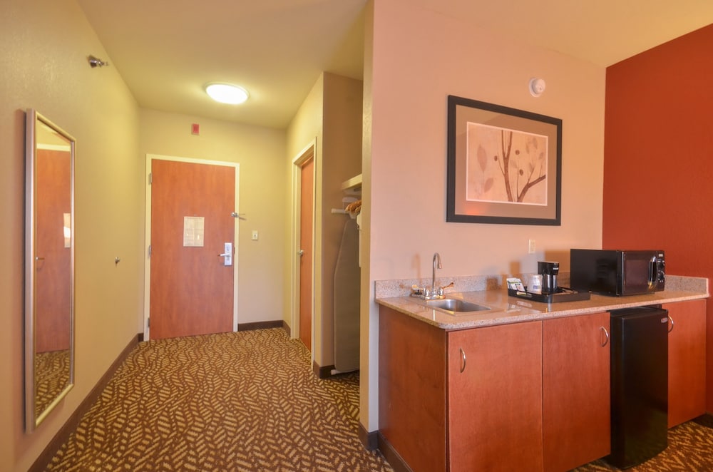 Holiday Inn Express Hotel & Suites Pine Bluff Pines Mall by IHG - photo 18