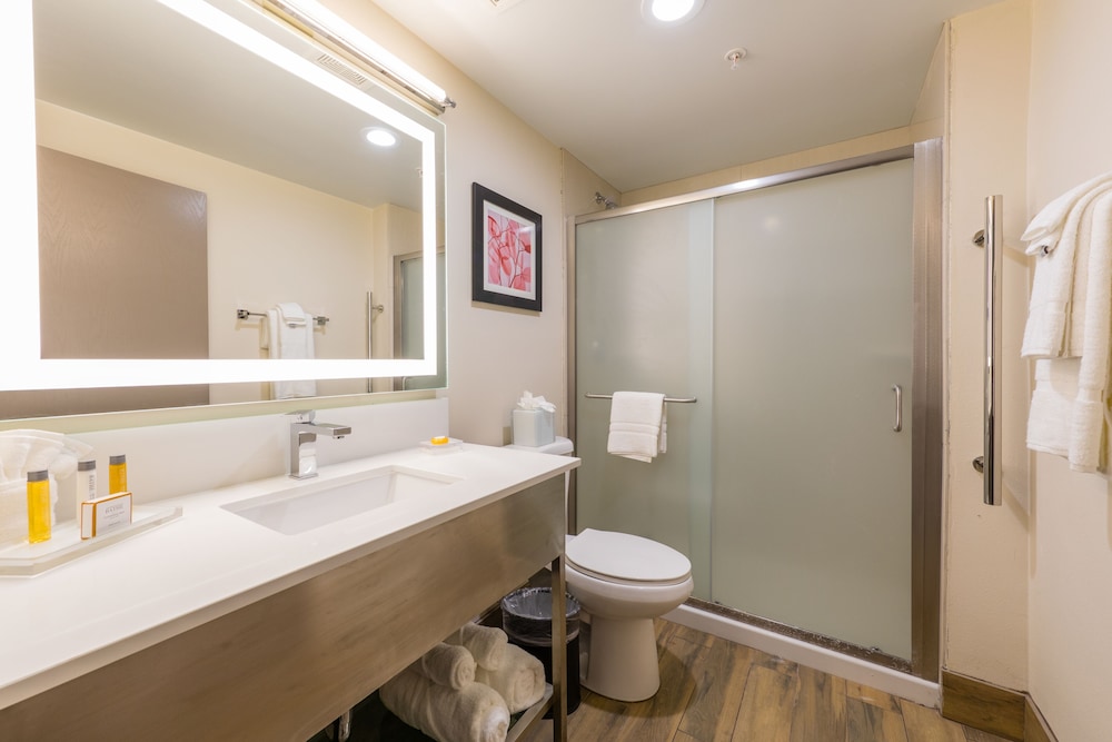 Holiday Inn Brookfield Milwaukee by IHG - photo 28