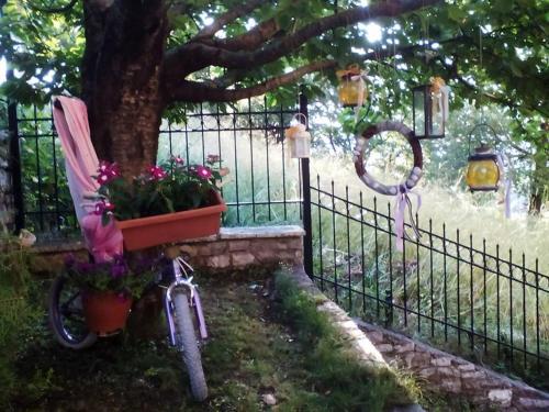 Ey Giann — Karpenisi — photo 5