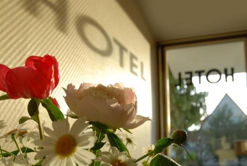 Hotel Schaumburg — Bad Pyrmont — photo 4