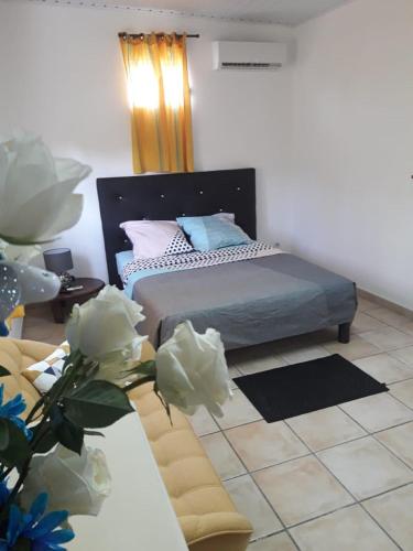 Coralia Bayalocation — 4-Star Luxury Hotel in Sainte-Luce, Martinique