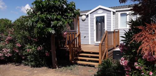 Omer Novela in Port-La-Nouvelle, France