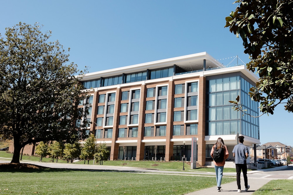 The Highlander - featured photo