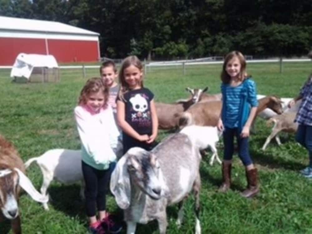 Flint Hill Farm AG - photo 12