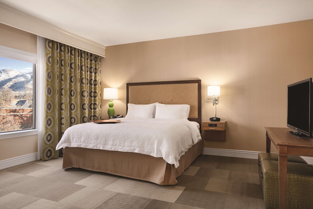Hampton Inn Brigham City - photo 8