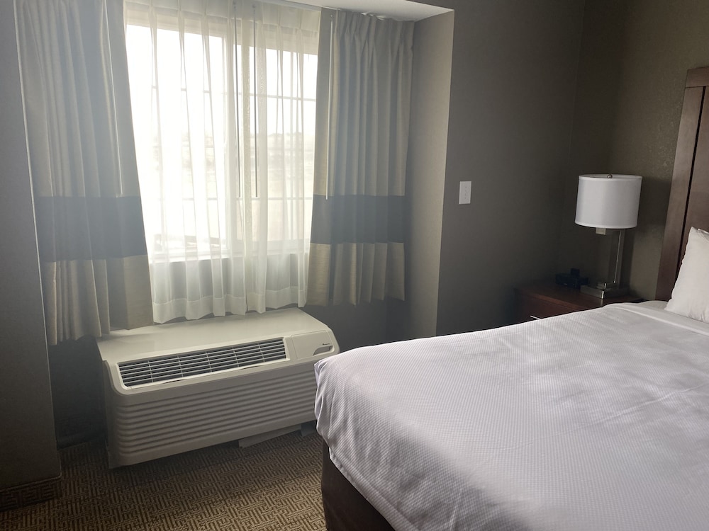 Comfort Inn & Suites Aztec Farmington Area - photo 45