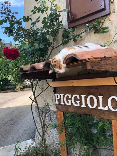 Piggiolo - carbon neutral hotel in Unknown City