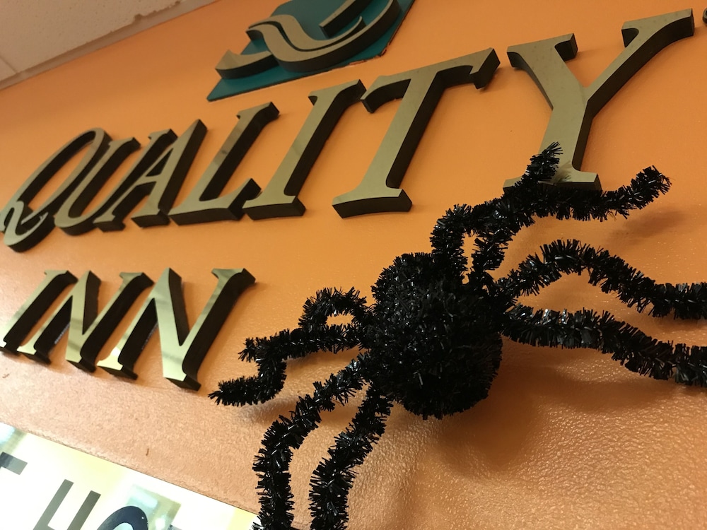 Quality Inn Junction City Near Fort Riley - photo 7