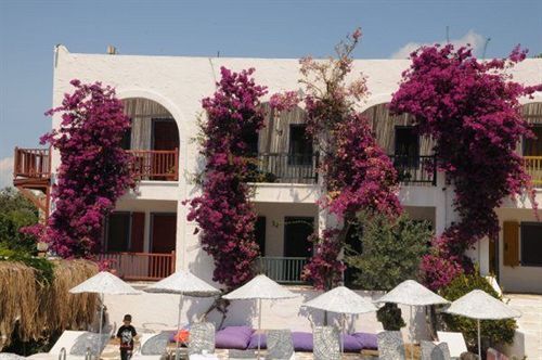Hotel Samdan — Yalikavak — photo 5