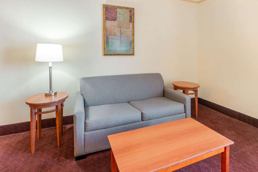 La Quinta Inn & Suites by Wyndham Hobbs - photo 24